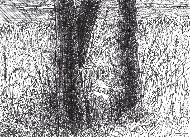 Nr. 20, Aan de voet van de Halve Bunder, 2017, 14,5x10,5 cm, fineliner op papier